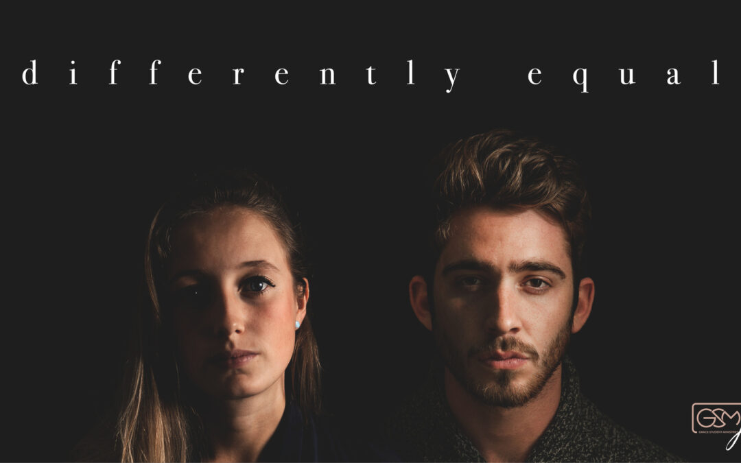 Differently Equal – Quote Graphic