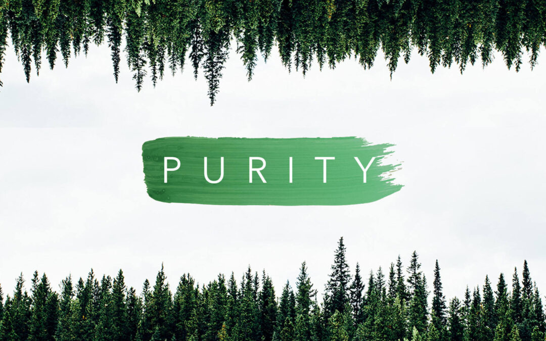 Purity Logo 1