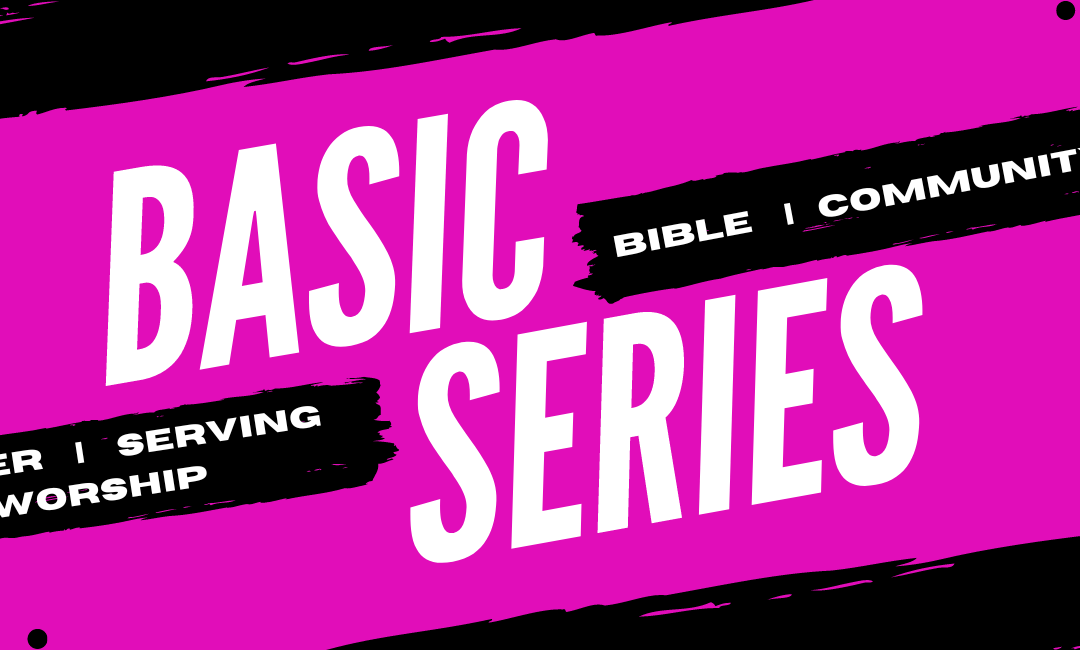 Basic Series – The Bible